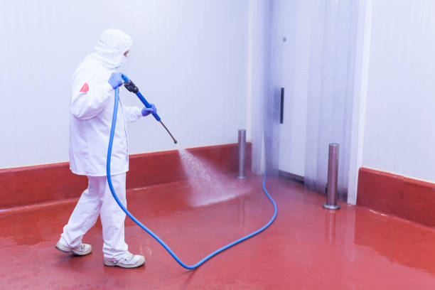 Best Restaurant Pressure Washing  in Marillo, CA
