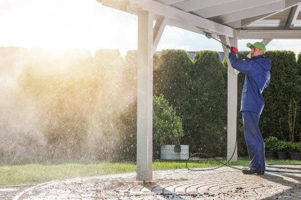 Best Residential House Exterior Washing  in Marillo, CA
